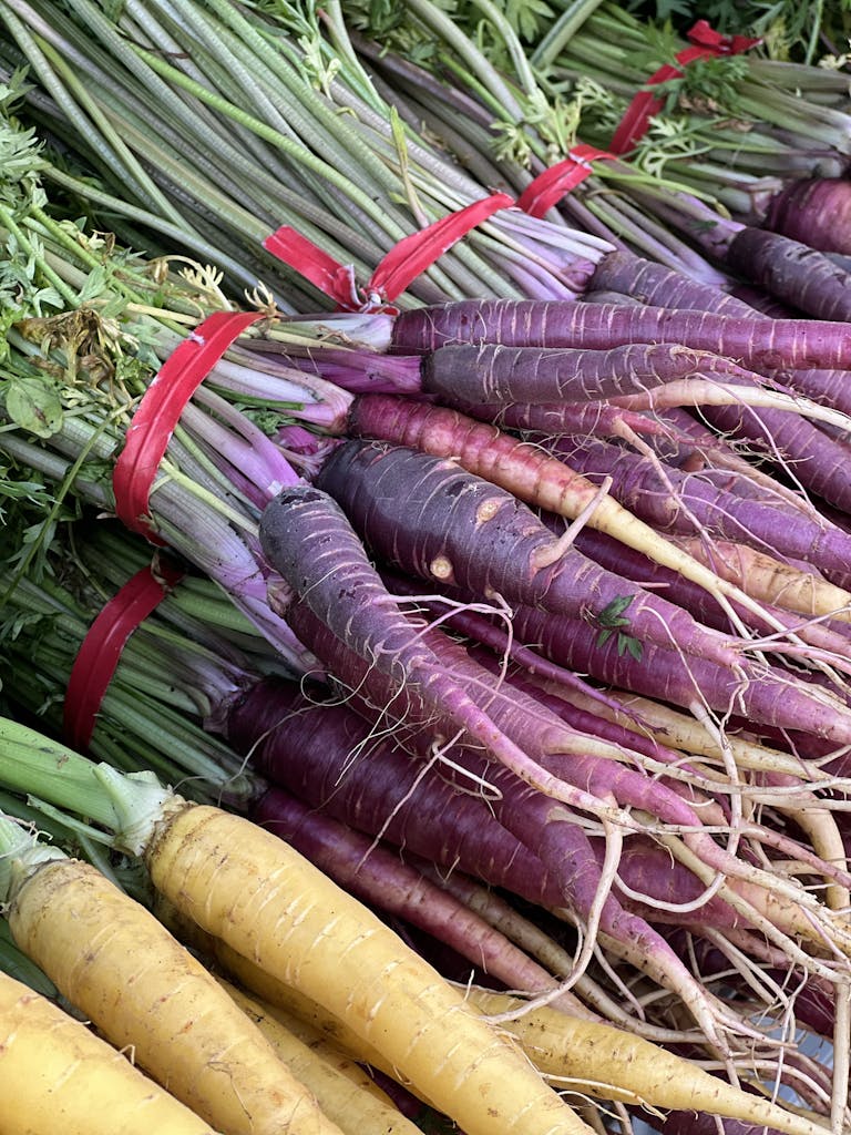 Carrots and other vegetables are displayed at a farmers market