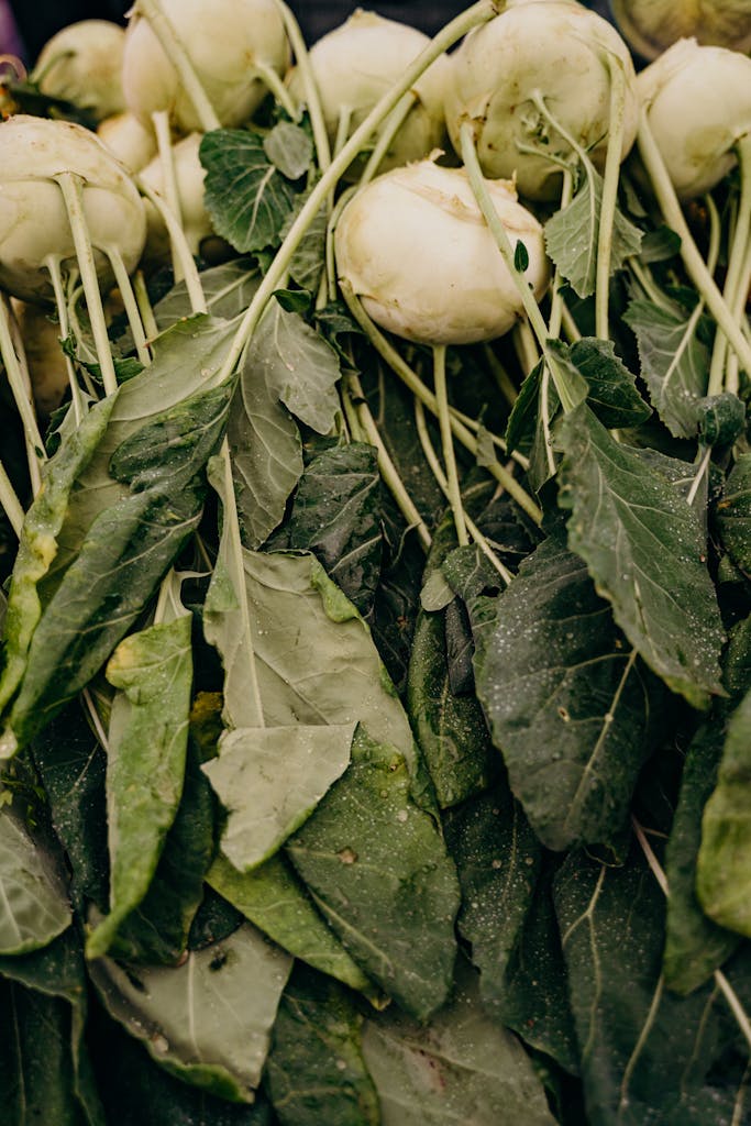 White Turnips with Green Leaves